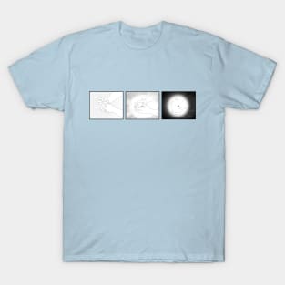 Phenomena Collection T-Shirt